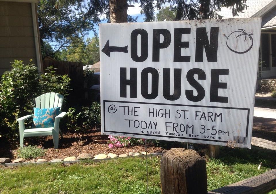High Street Farm Open House